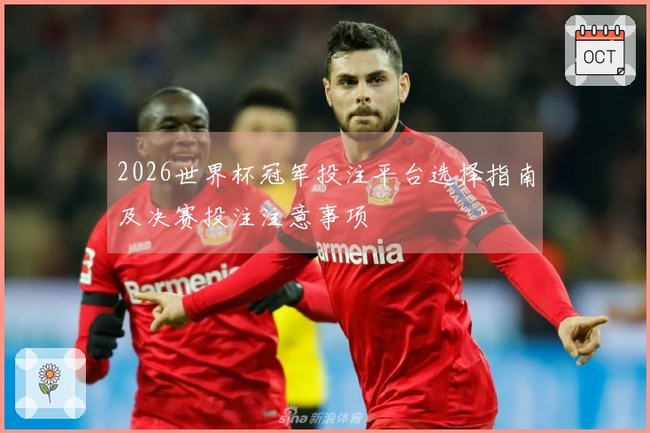 2026世界杯冠军投注平台选择指南及决赛投注注意事项