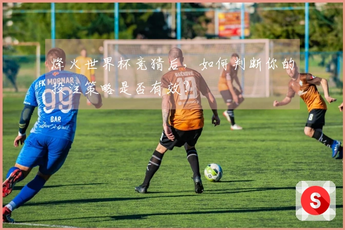 烽火世界杯竞猜后，如何判断你的投注策略是否有效？