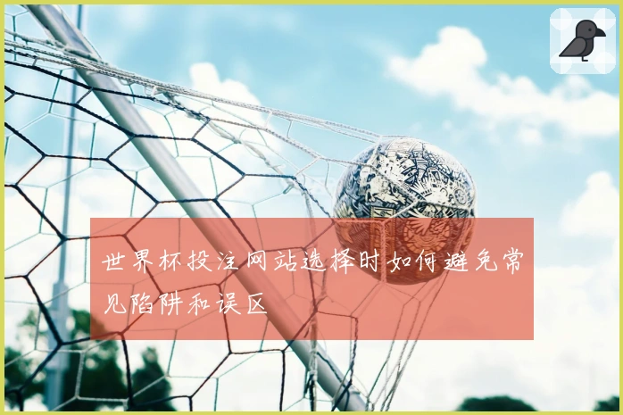 世界杯投注网站选择时如何避免常见陷阱和误区